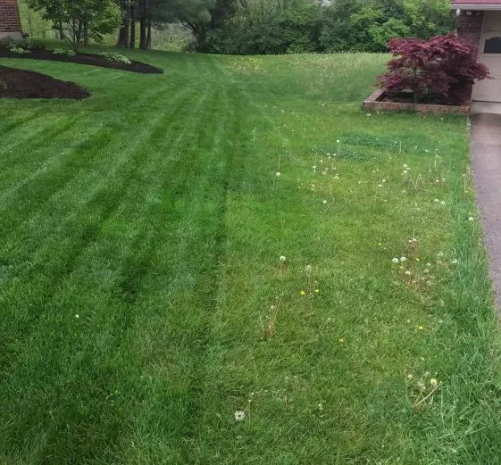 cincinnati-lawn-care123 cincinnati-lawn-care123