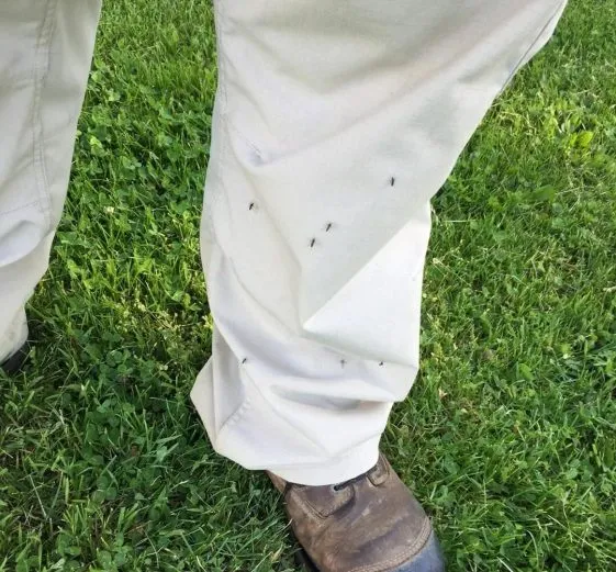 worker-lawn-care worker-lawn-care